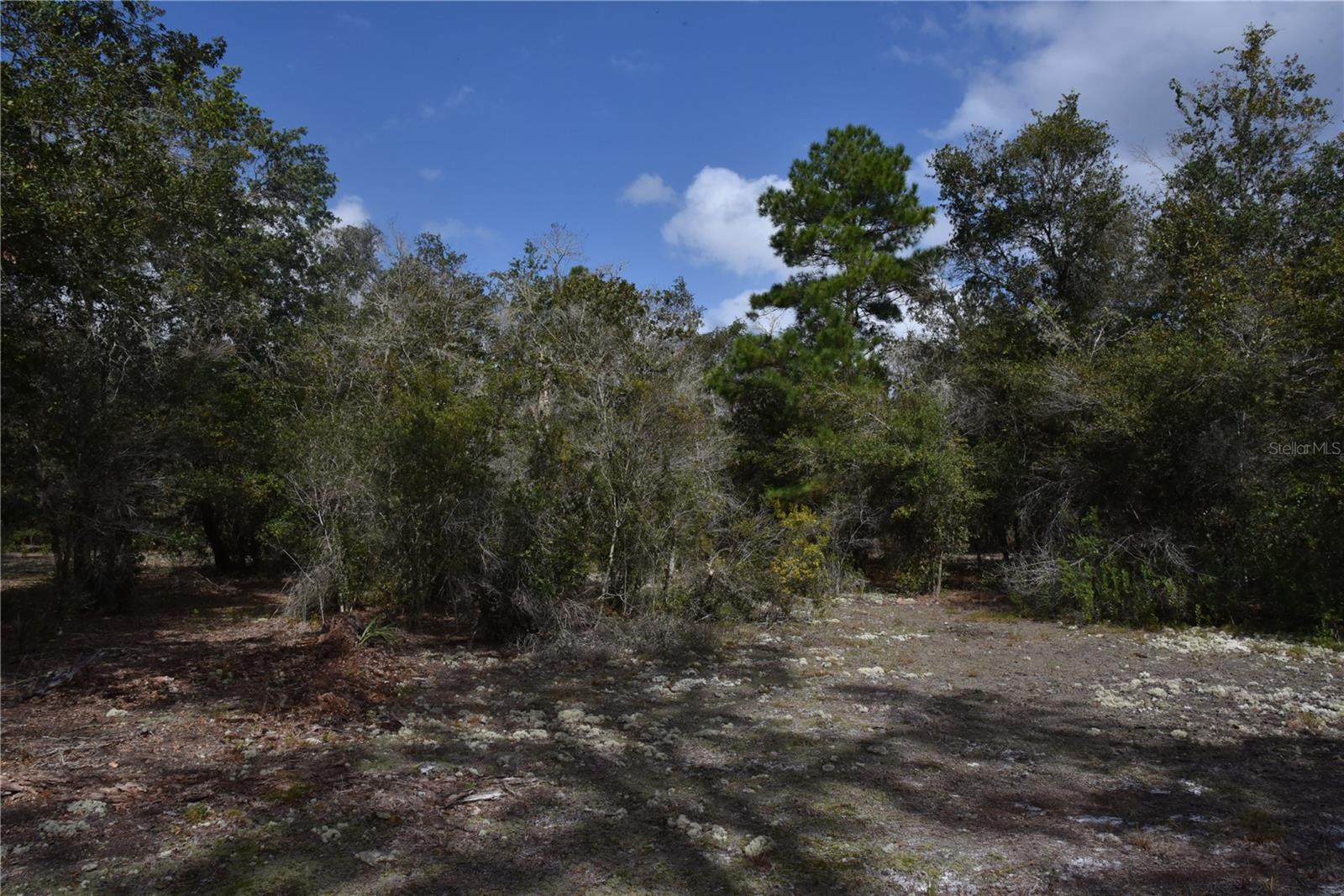 9150 SE US HIGHWAY 301, Hawthorne, FL 32640