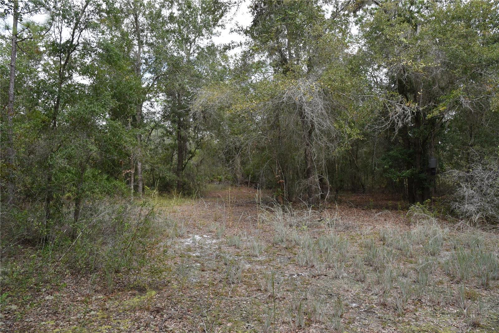 9150 SE US HIGHWAY 301, Hawthorne, FL 32640