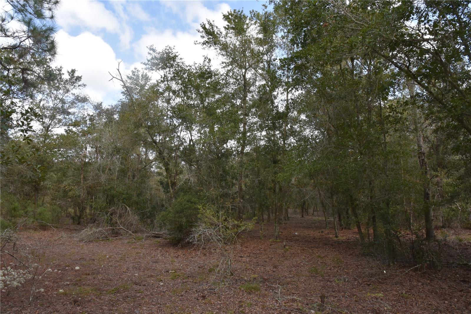 9150 SE US HIGHWAY 301, Hawthorne, FL 32640