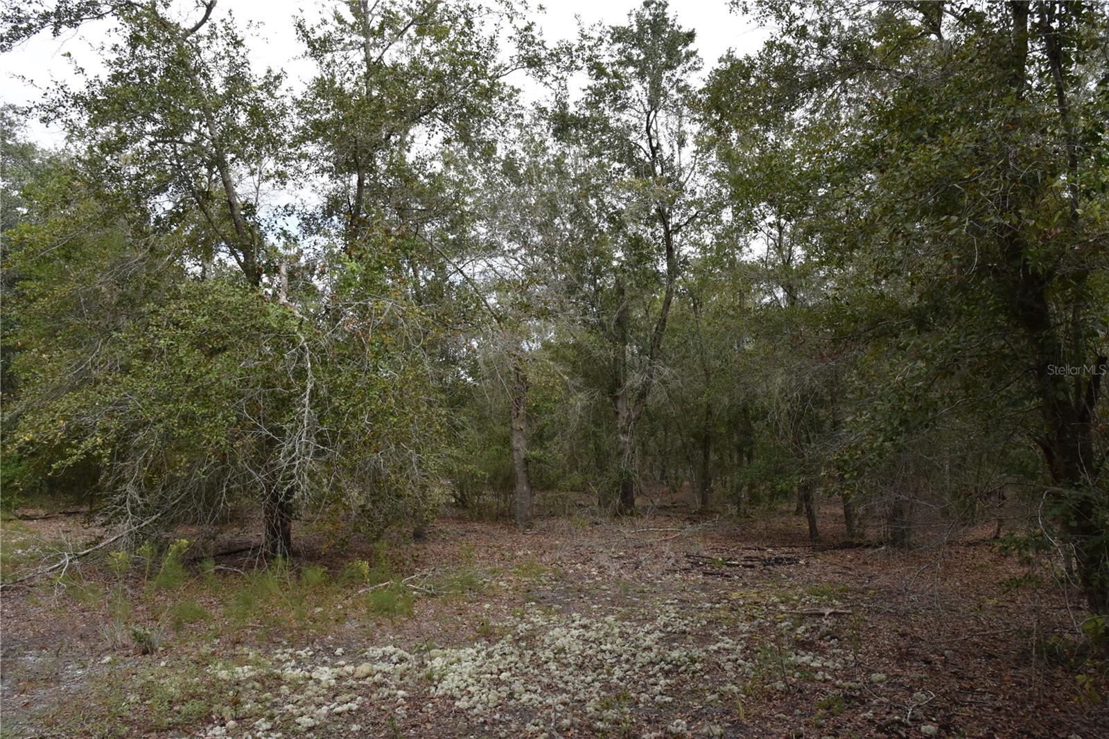 9150 SE US HIGHWAY 301, Hawthorne, FL 32640