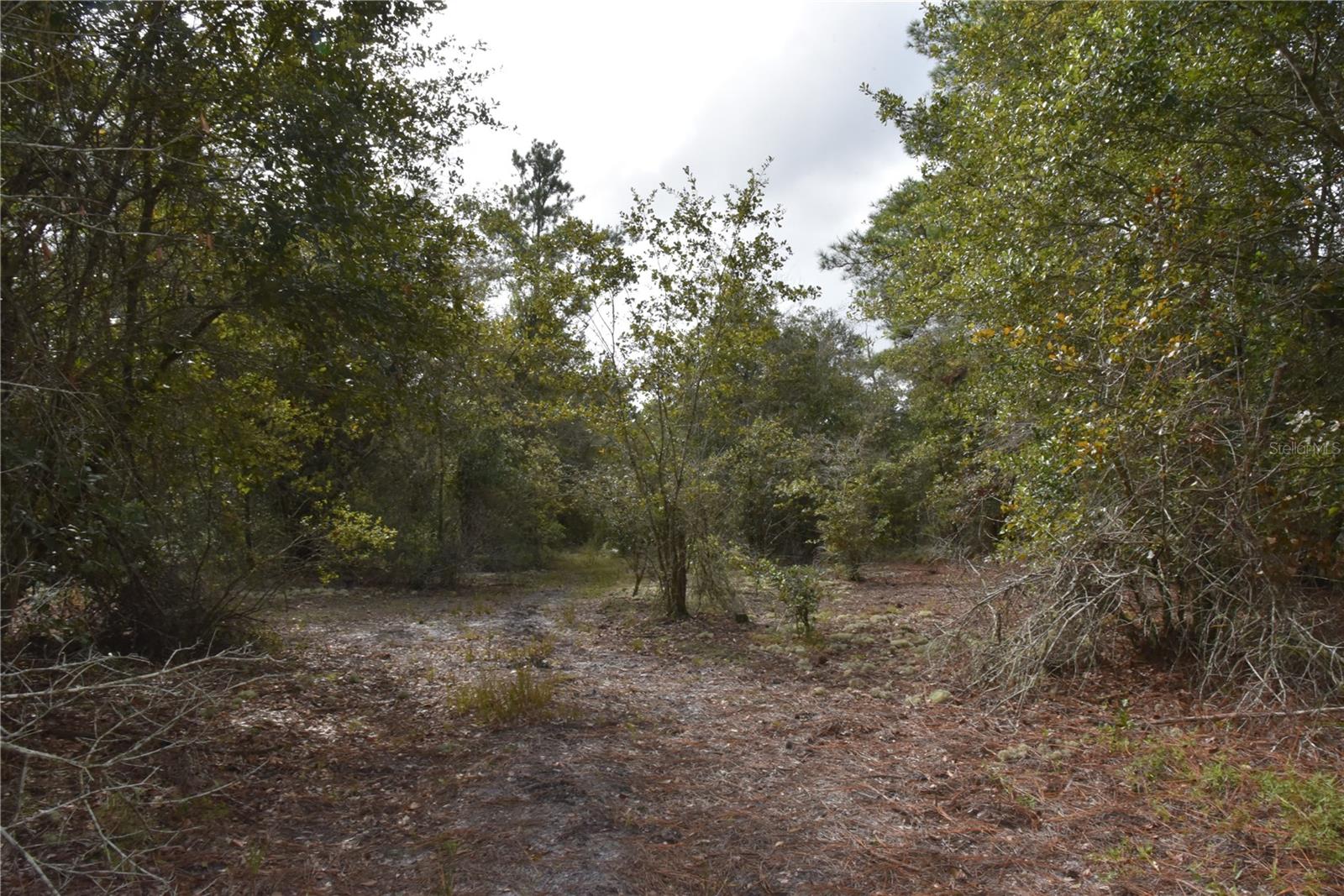 9150 SE US HIGHWAY 301, Hawthorne, FL 32640