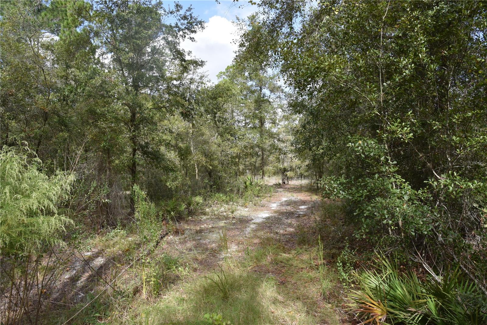 9150 SE US HIGHWAY 301, Hawthorne, FL 32640
