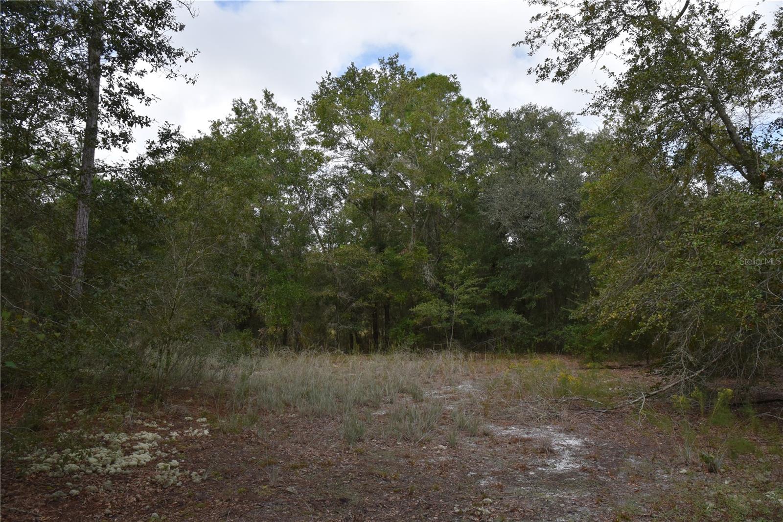 9150 SE US HIGHWAY 301, Hawthorne, FL 32640