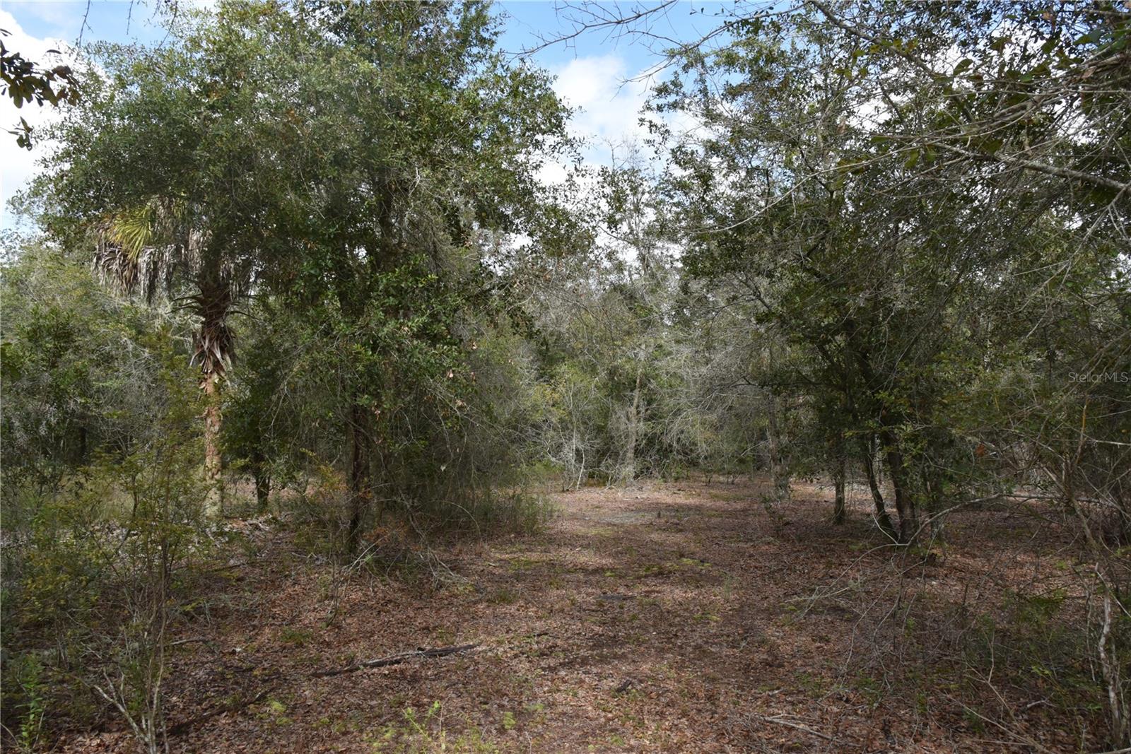 9150 SE US HIGHWAY 301, Hawthorne, FL 32640