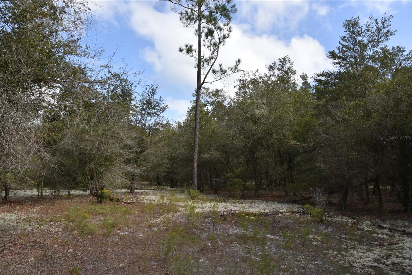 9150 SE US HIGHWAY 301, Hawthorne, FL 32640