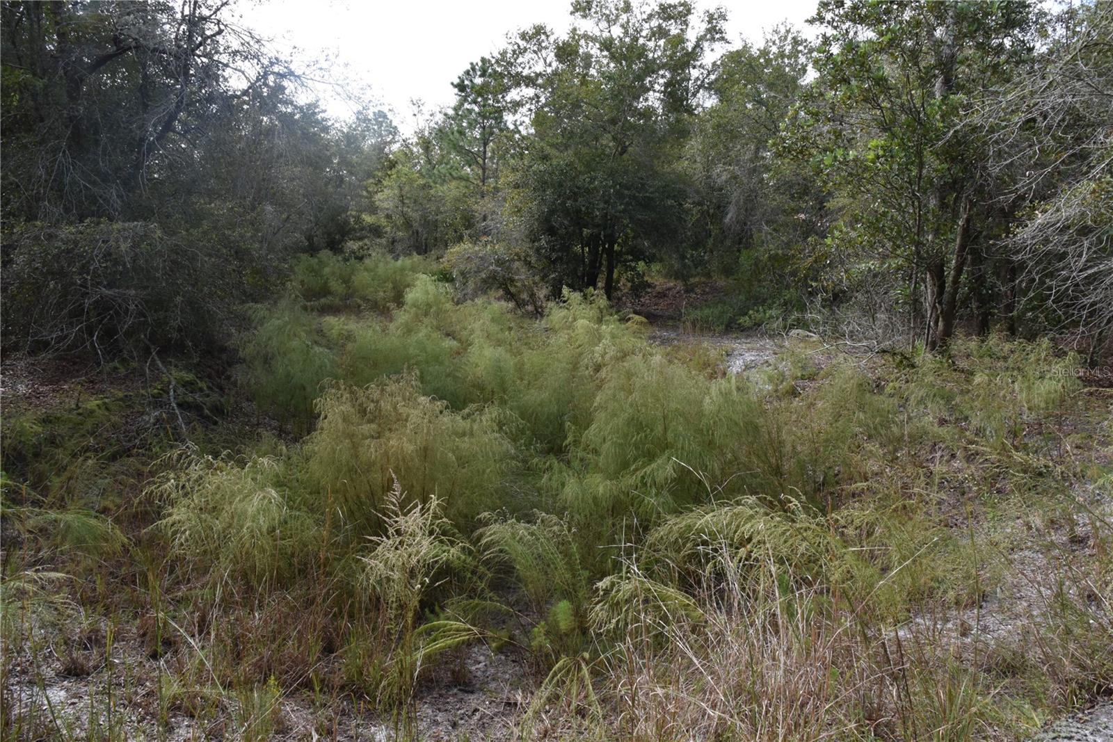9150 SE US HIGHWAY 301, Hawthorne, FL 32640