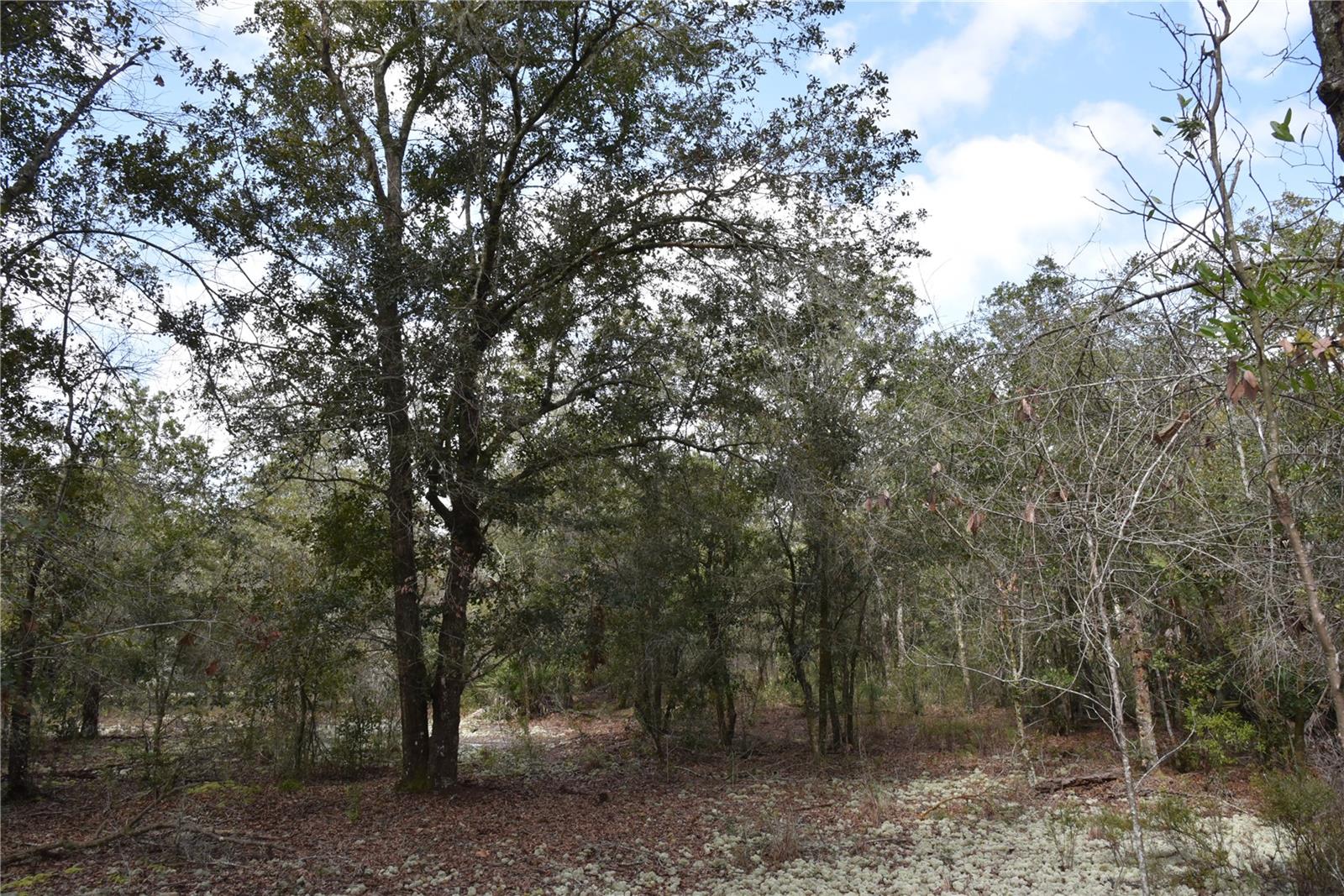 9150 SE US HIGHWAY 301, Hawthorne, FL 32640