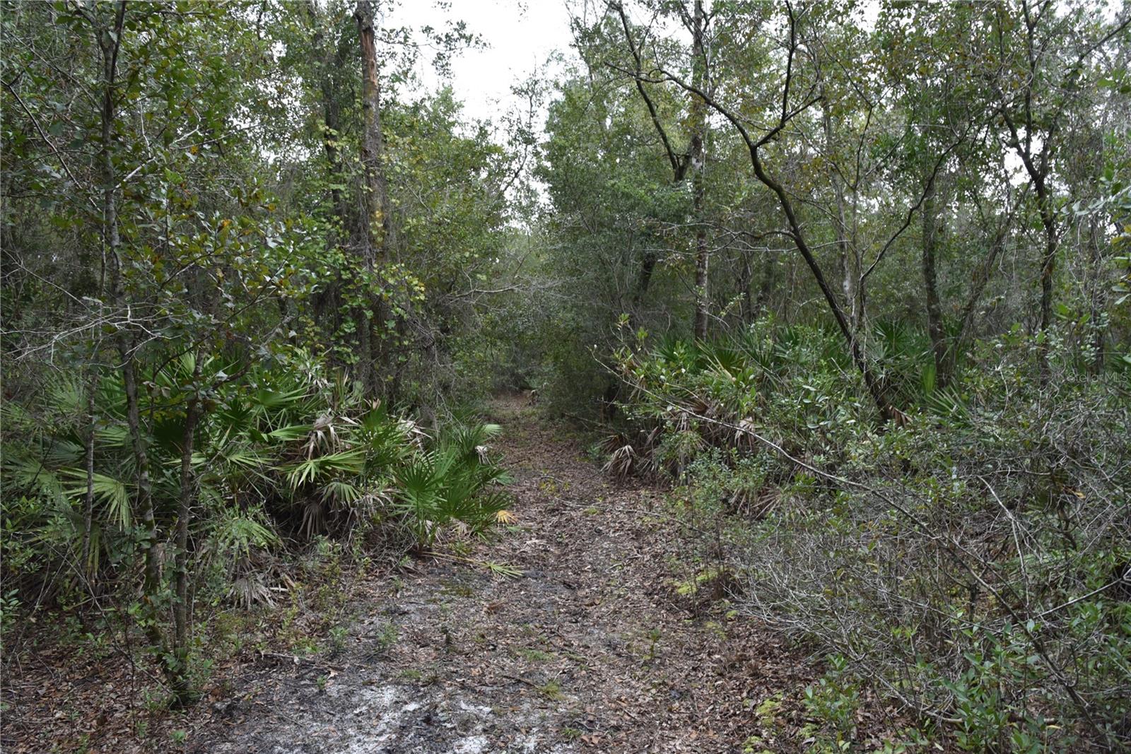 9150 SE US HIGHWAY 301, Hawthorne, FL 32640
