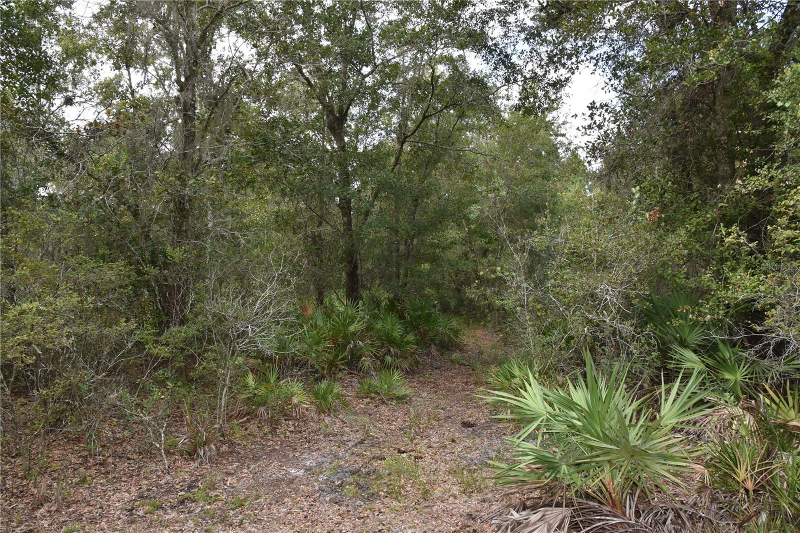 9150 SE US HIGHWAY 301, Hawthorne, FL 32640