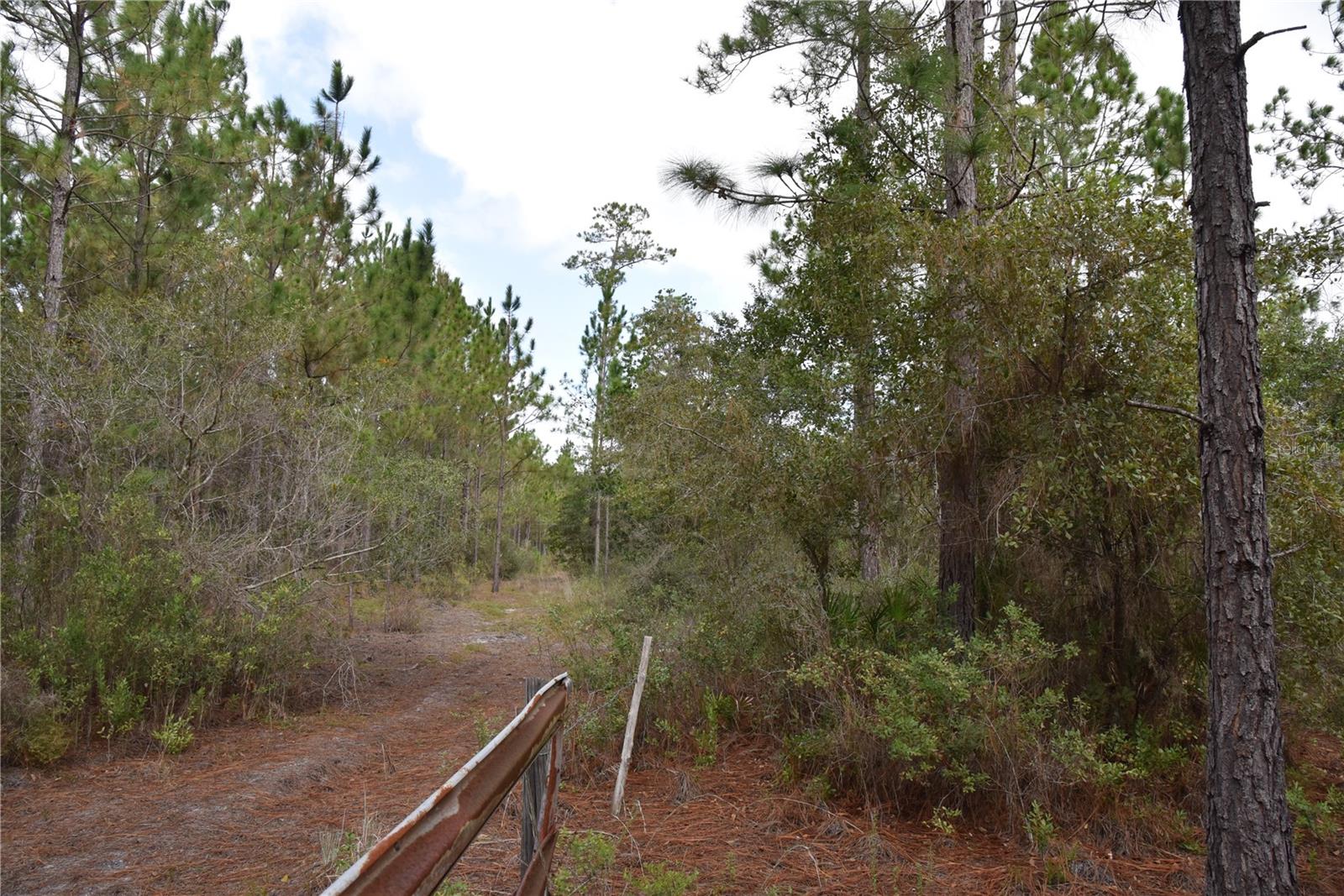 9150 SE US HIGHWAY 301, Hawthorne, FL 32640