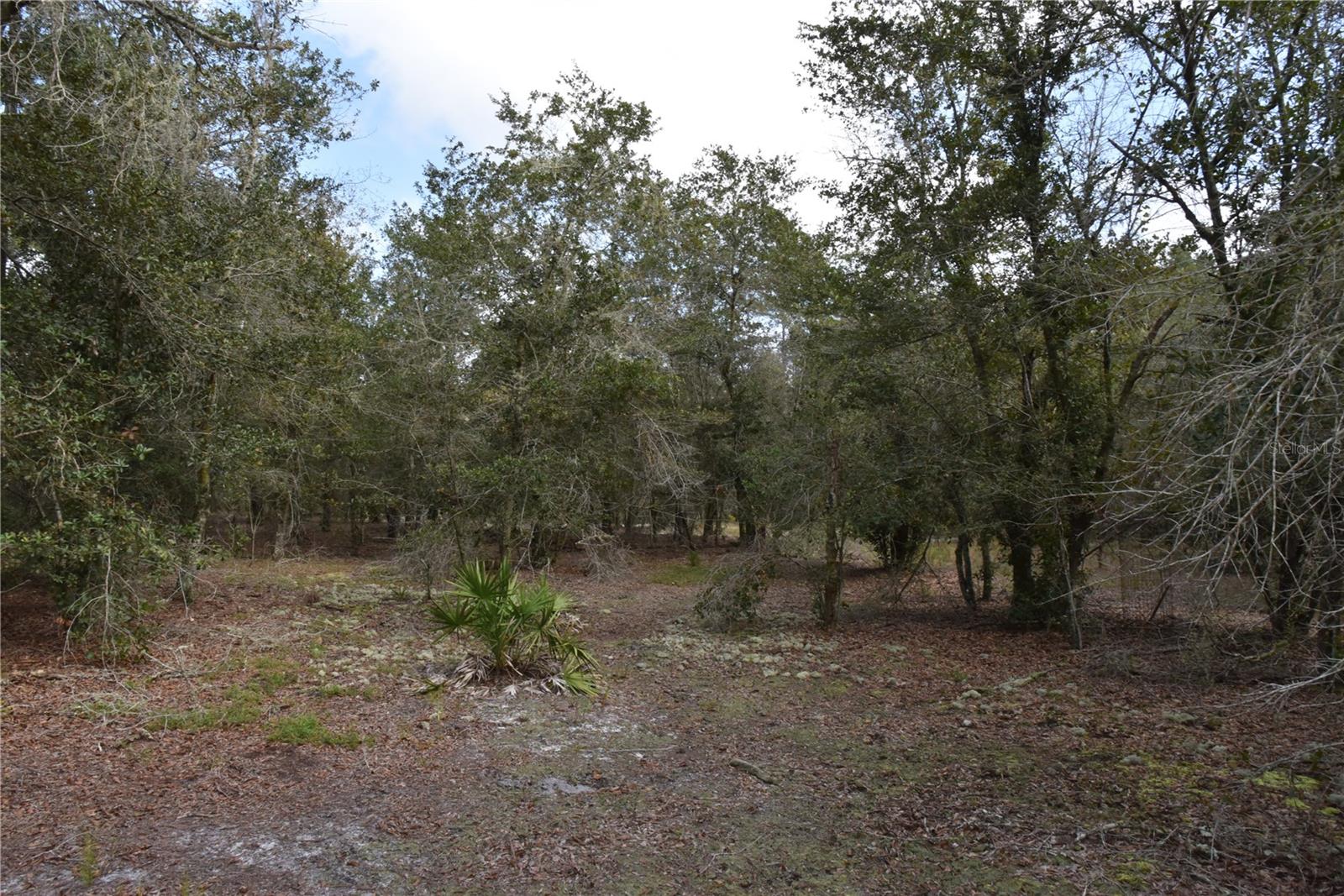 9150 SE US HIGHWAY 301, Hawthorne, FL 32640