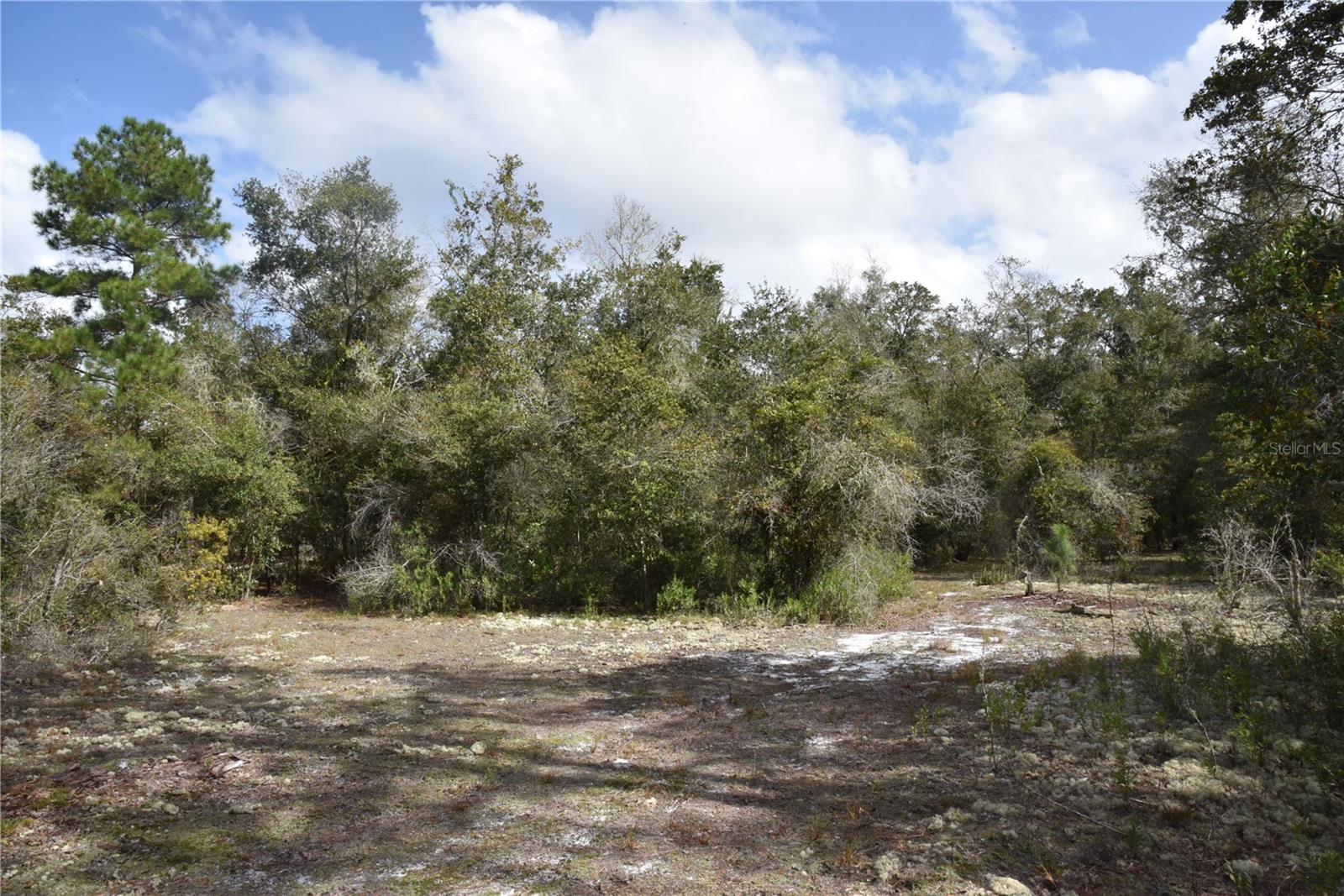 9150 SE US HIGHWAY 301, Hawthorne, FL 32640