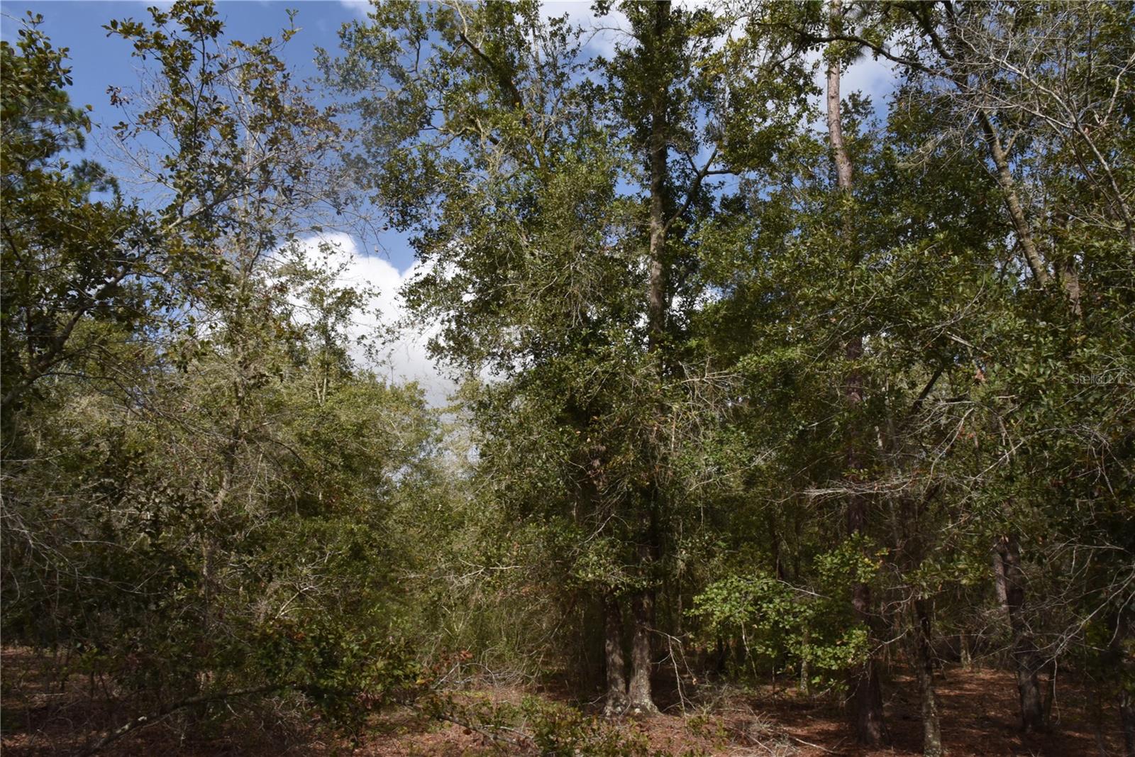 9150 SE US HIGHWAY 301, Hawthorne, FL 32640