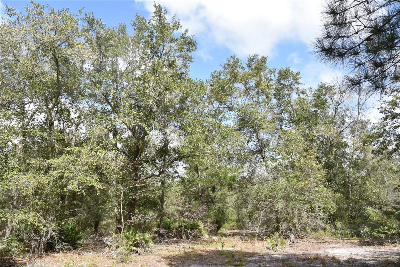 9150 SE US HIGHWAY 301, Hawthorne, FL 32640