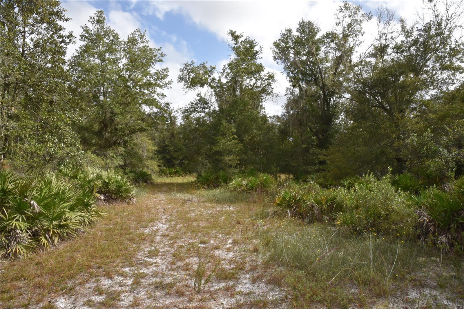 9150 SE US HIGHWAY 301, Hawthorne, FL 32640