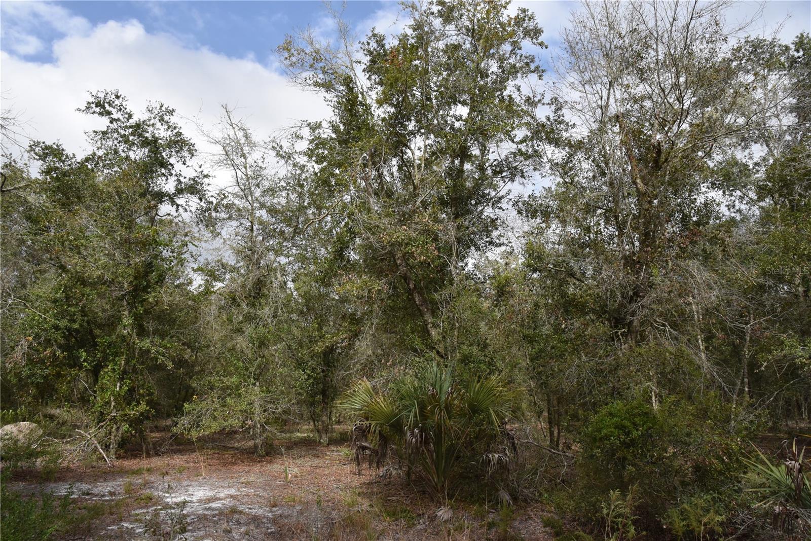 9150 SE US HIGHWAY 301, Hawthorne, FL 32640