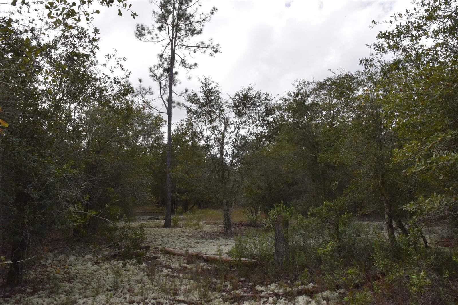 9150 SE US HIGHWAY 301, Hawthorne, FL 32640
