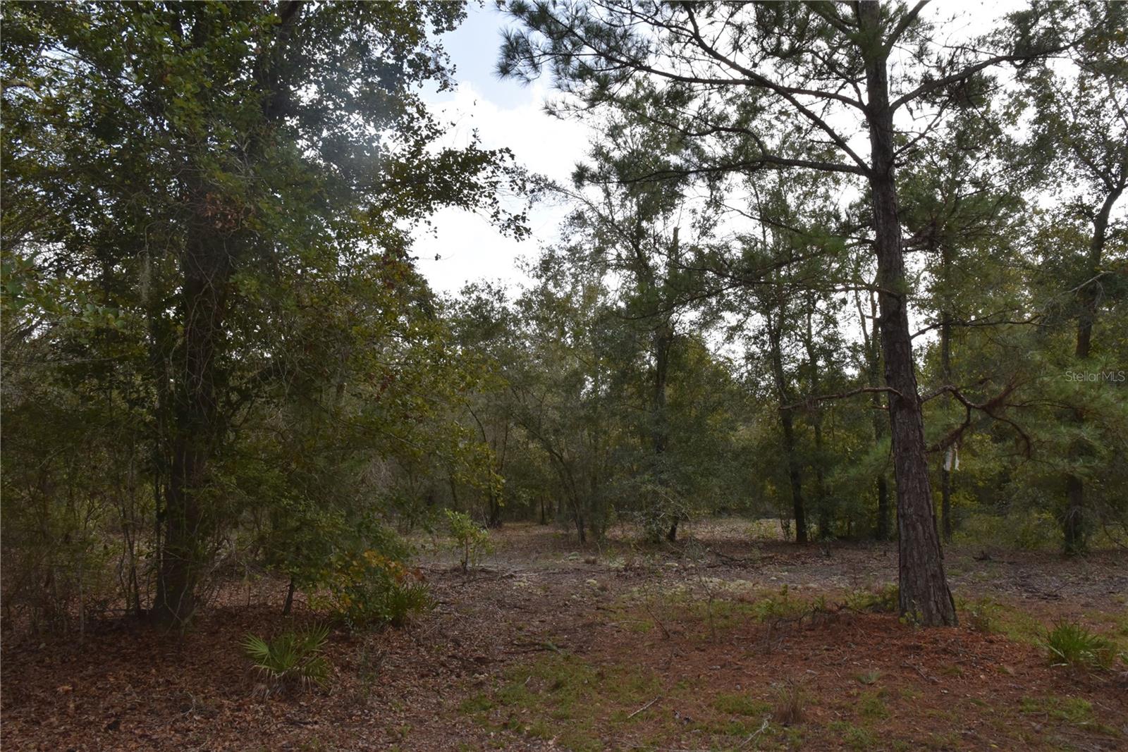 9150 SE US HIGHWAY 301, Hawthorne, FL 32640