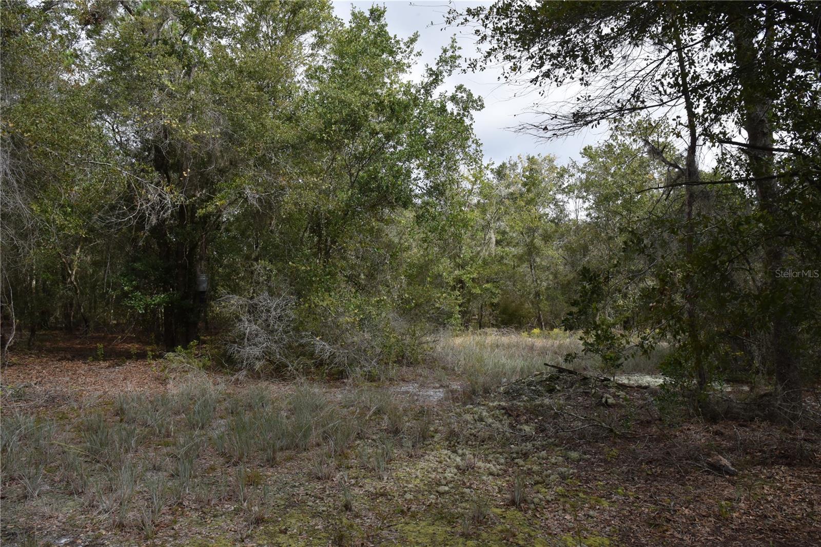 9150 SE US HIGHWAY 301, Hawthorne, FL 32640