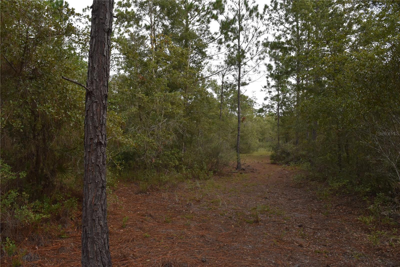 9150 SE US HIGHWAY 301, Hawthorne, FL 32640