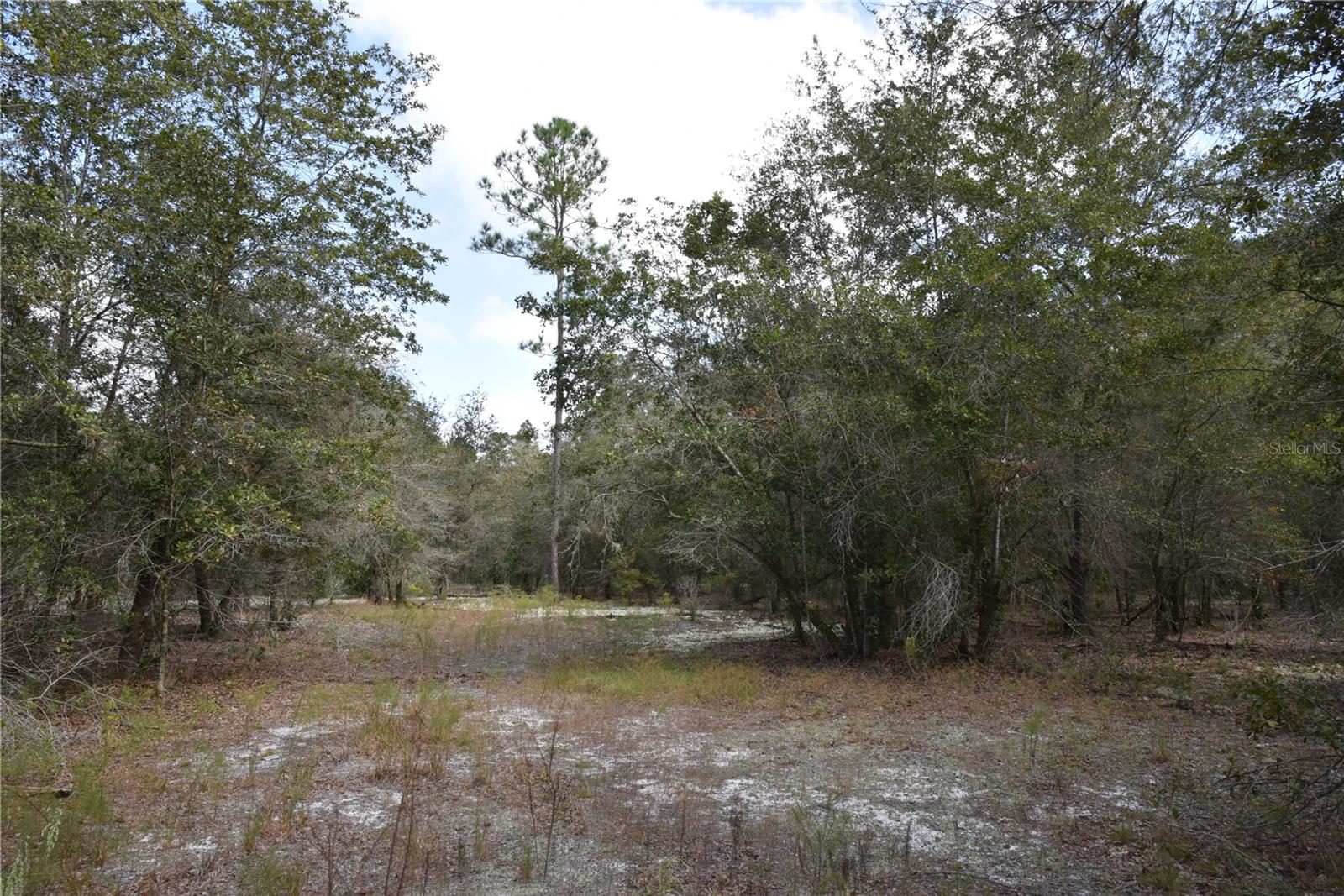 9150 SE US HIGHWAY 301, Hawthorne, FL 32640