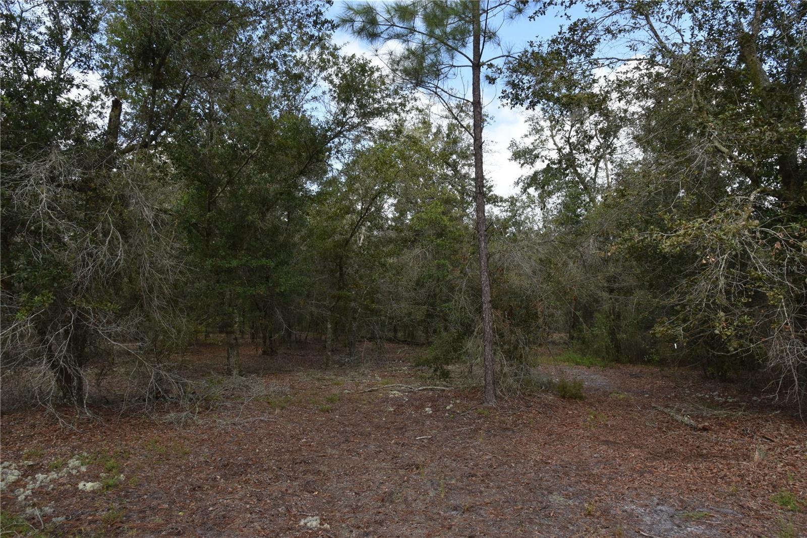 9150 SE US HIGHWAY 301, Hawthorne, FL 32640