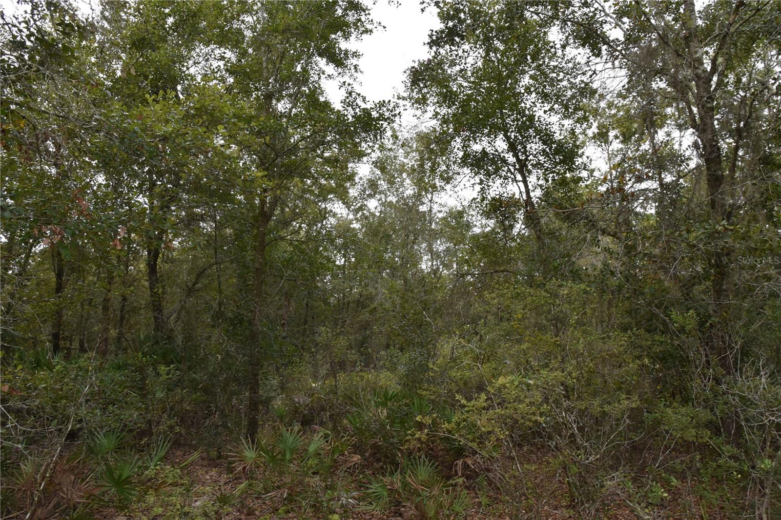 9150 SE US HIGHWAY 301, Hawthorne, FL 32640