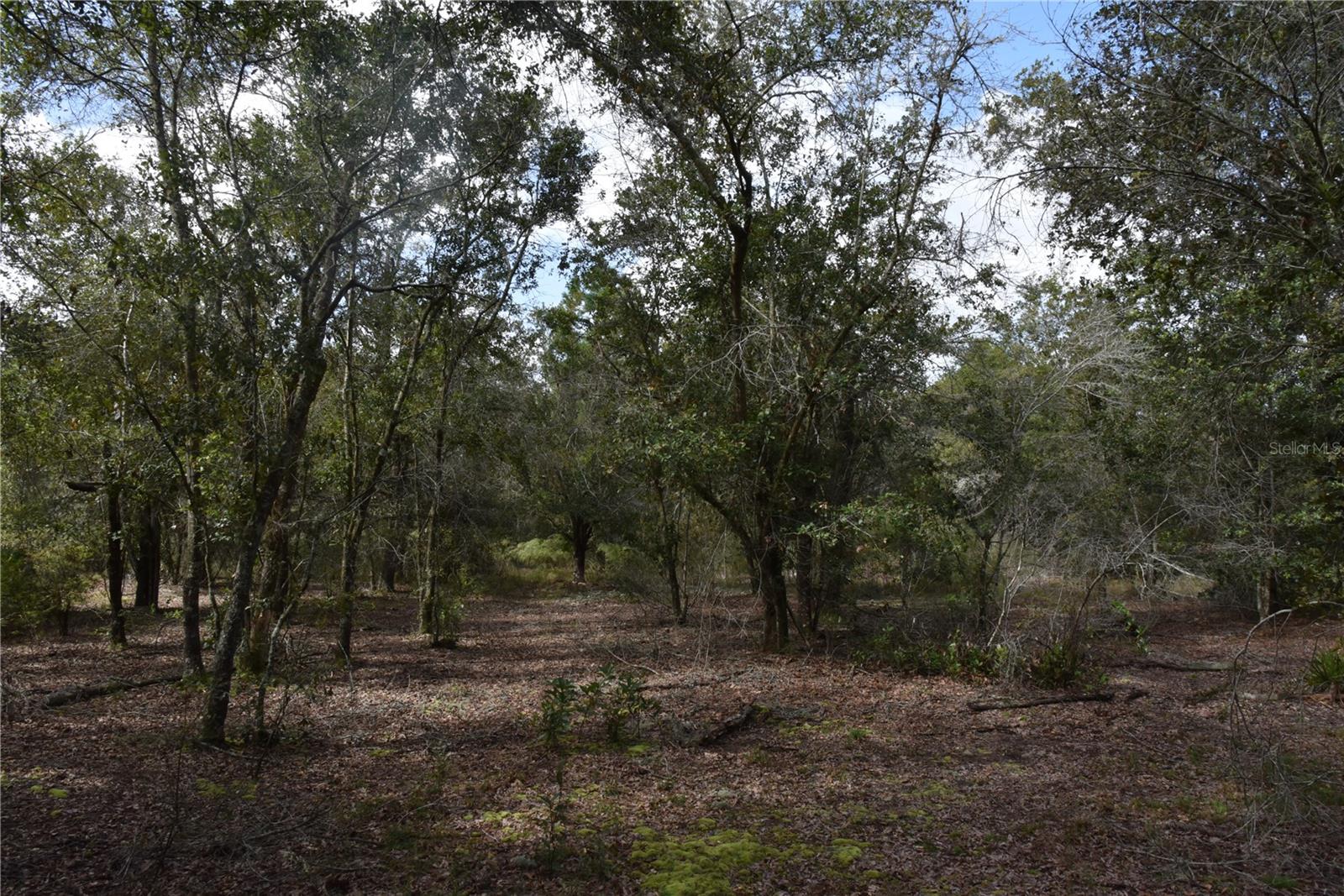 9150 SE US HIGHWAY 301, Hawthorne, FL 32640
