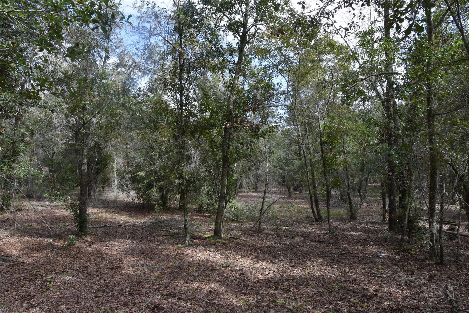 9150 SE US HIGHWAY 301, Hawthorne, FL 32640