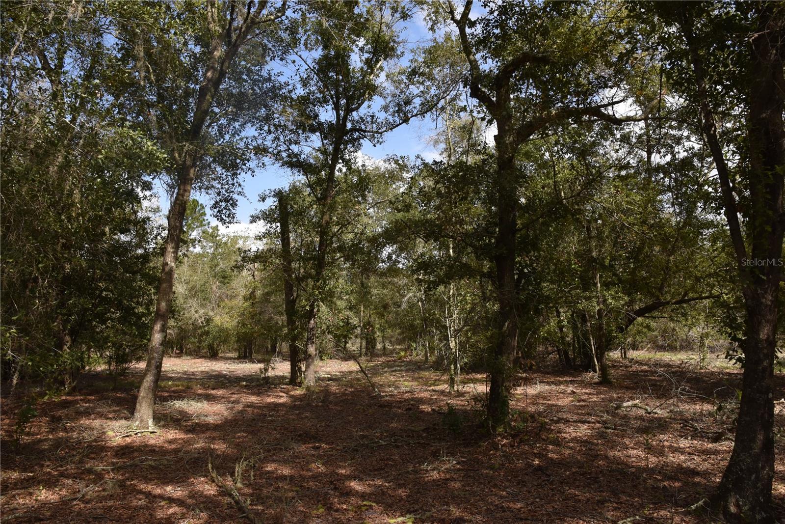 9150 SE US HIGHWAY 301, Hawthorne, FL 32640