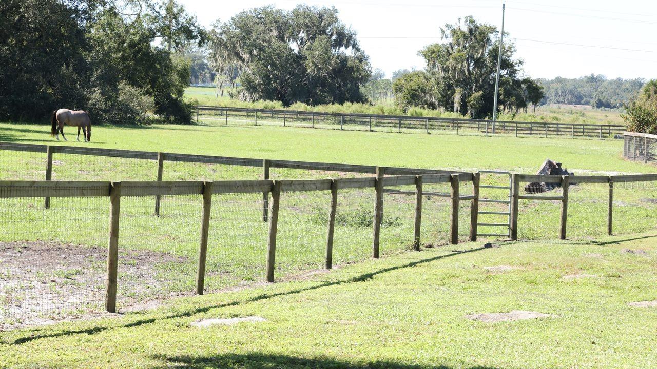 9238 FORT KING ROAD, Dade City, FL 33525