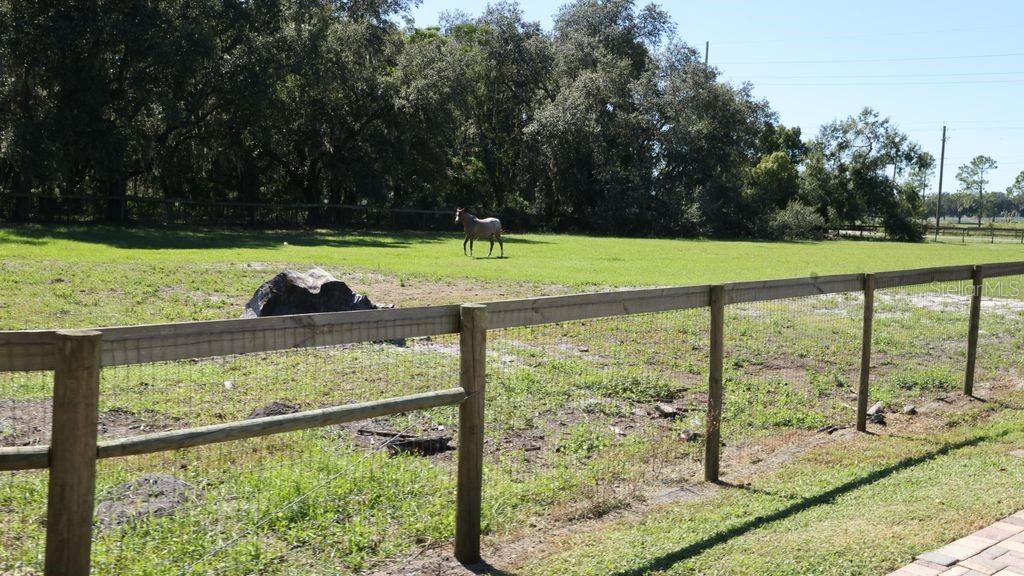 9238 FORT KING ROAD, Dade City, FL 33525