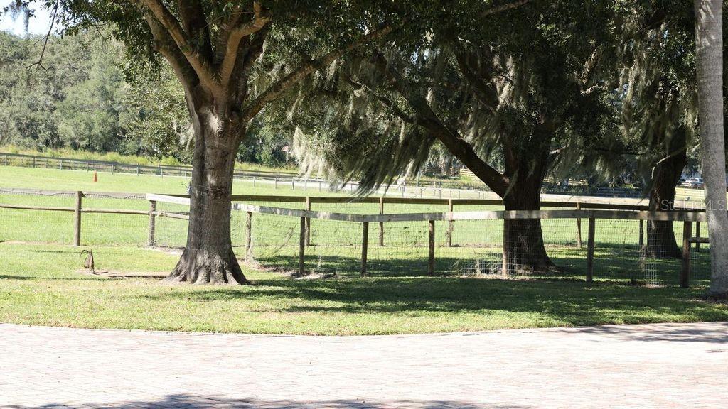 9238 FORT KING ROAD, Dade City, FL 33525
