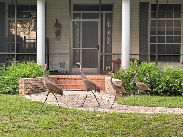 FRONT PORCH FULLY SCREENED