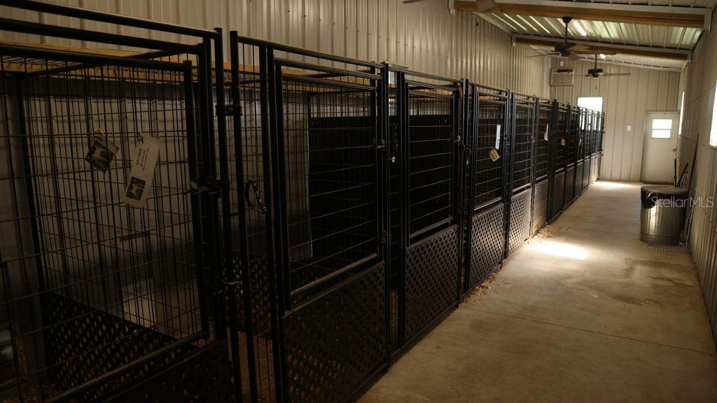 KENNELS