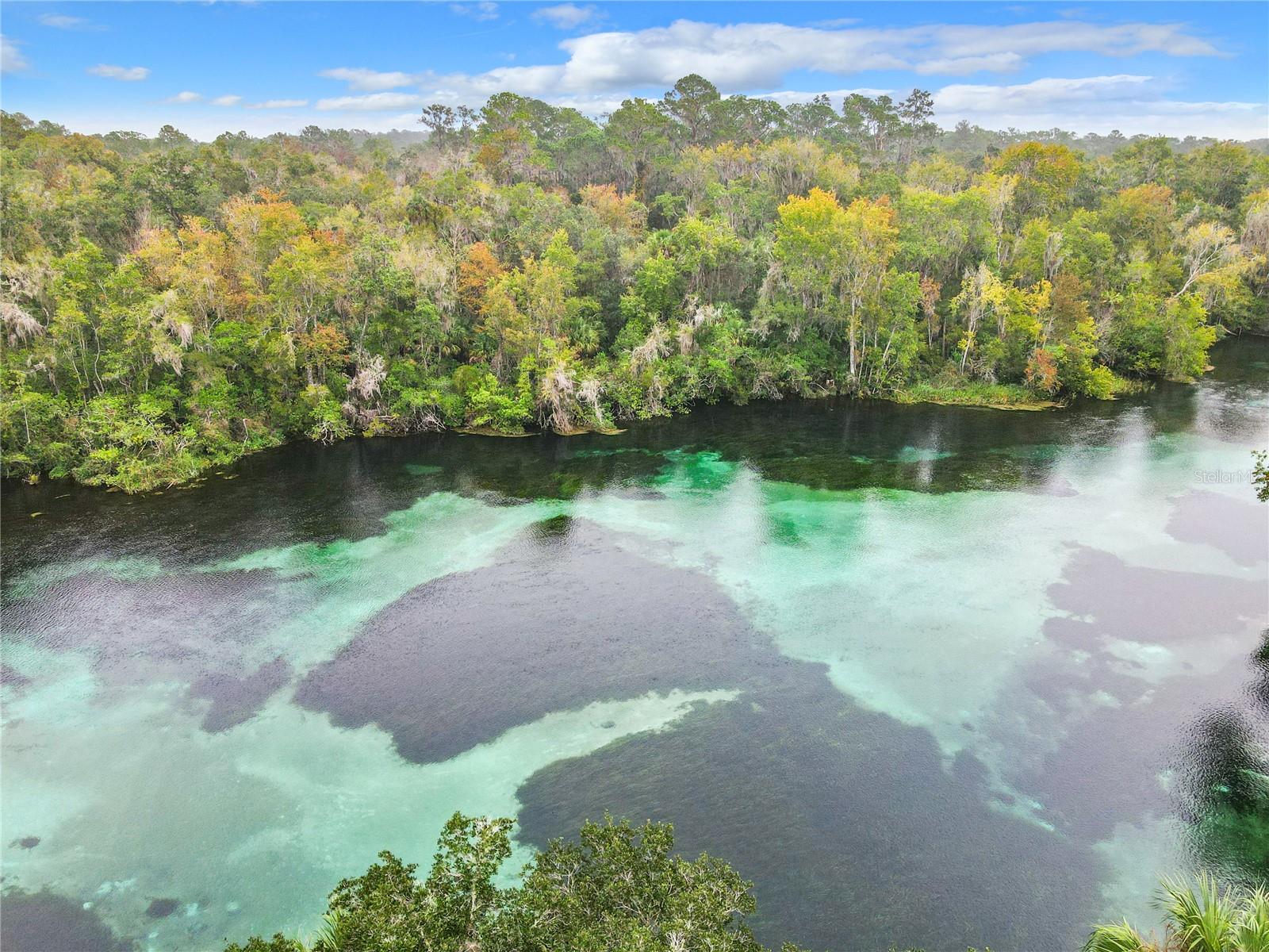 9147 SW 193RD CIRCLE, Dunnellon, FL 34432