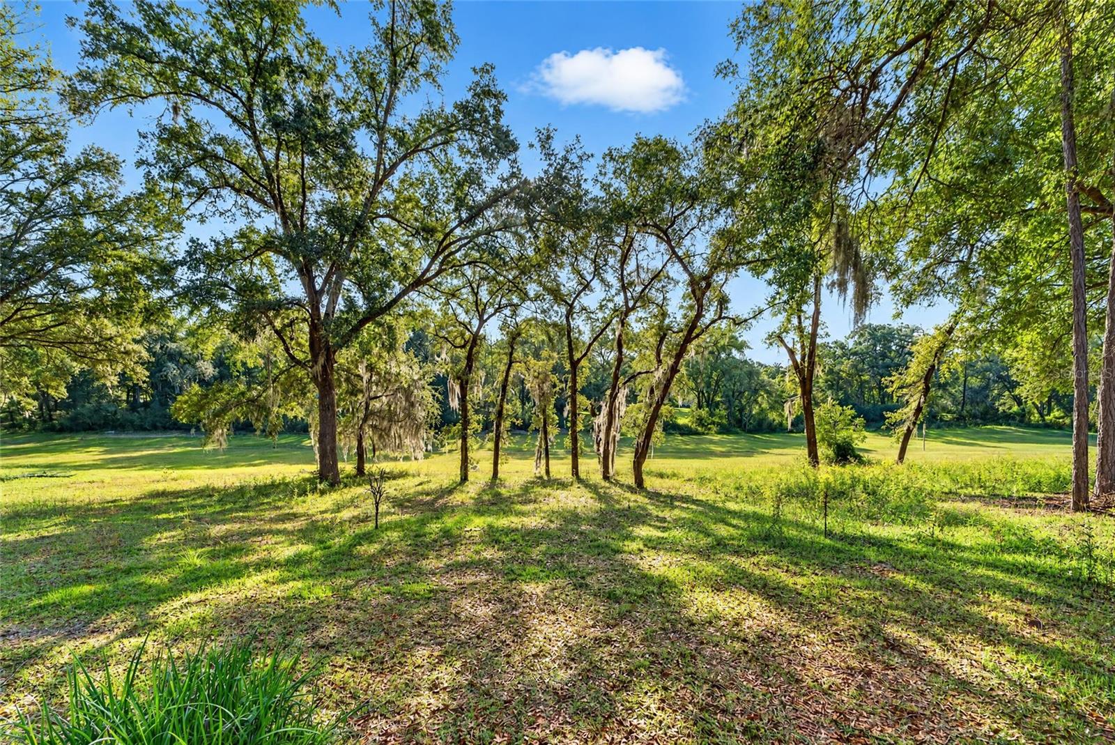 9147 SW 193RD CIRCLE, Dunnellon, FL 34432