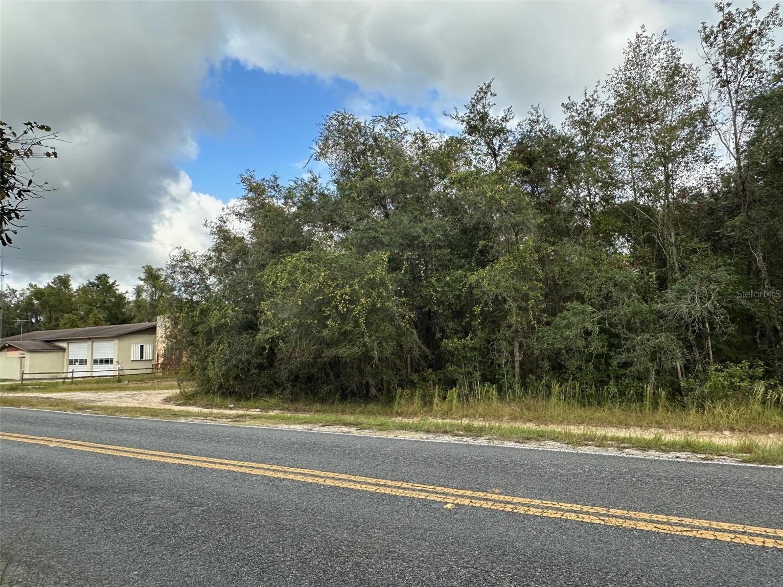 0 NE 236TH STREET, Salt Springs, FL 32134 0 NE 236TH STREET, Salt Springs, FL 32134