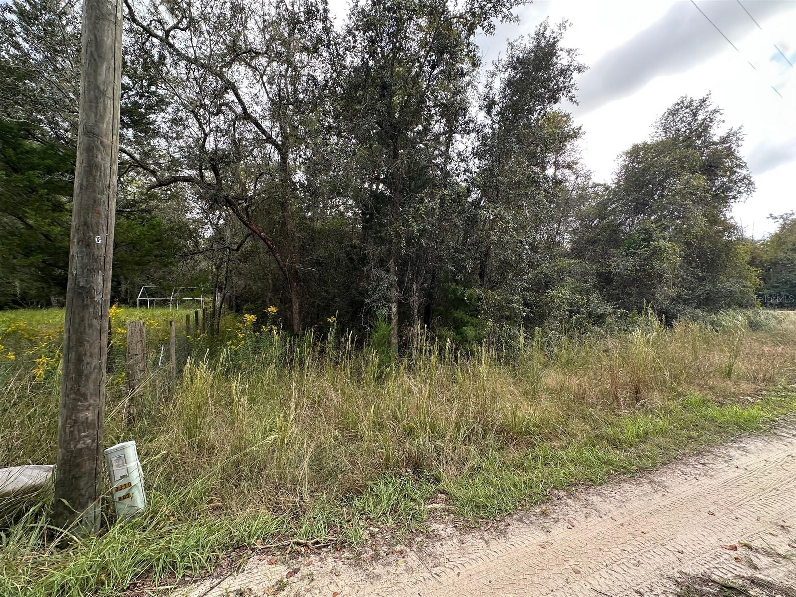 0 NE 236TH STREET, Salt Springs, FL 32134 0 NE 236TH STREET, Salt Springs, FL 32134