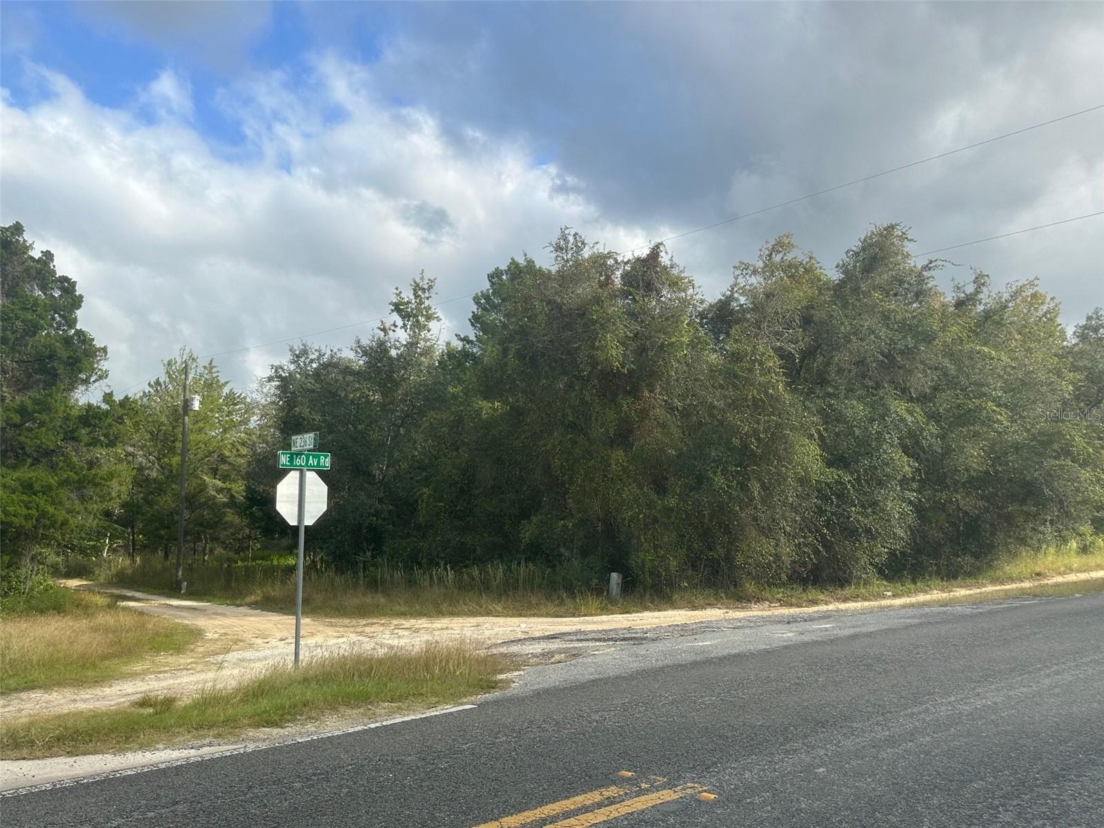0 NE 236TH STREET, Salt Springs, FL 32134