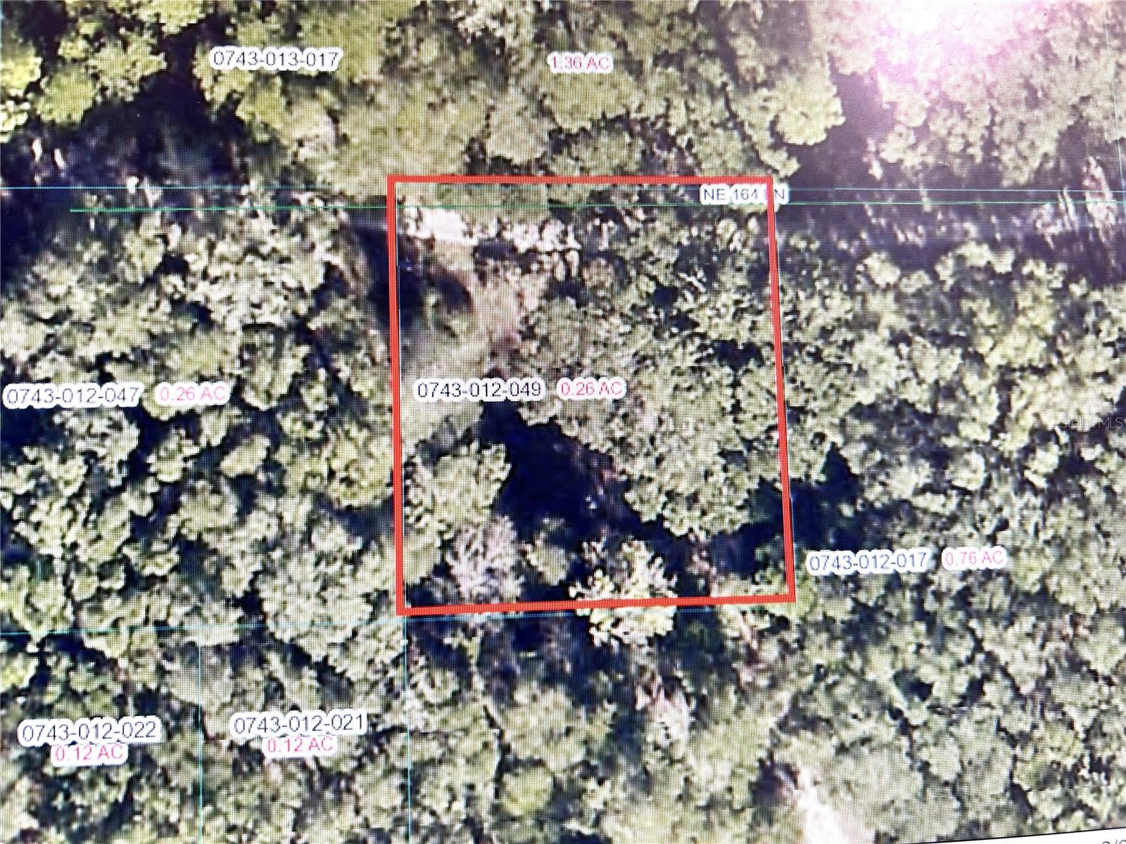 2878 NE 164TH LANE, Citra, FL 32113