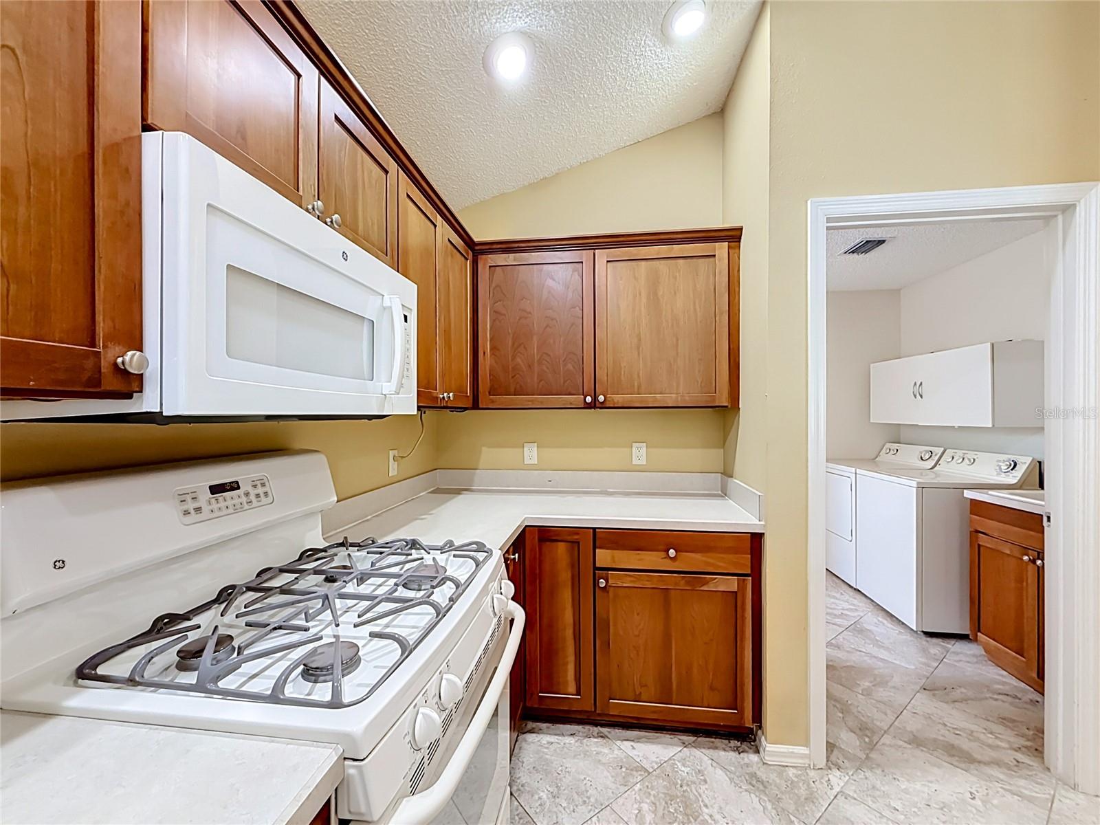 863 CASTLEBERRY CIRCLE, The Villages, FL 32162