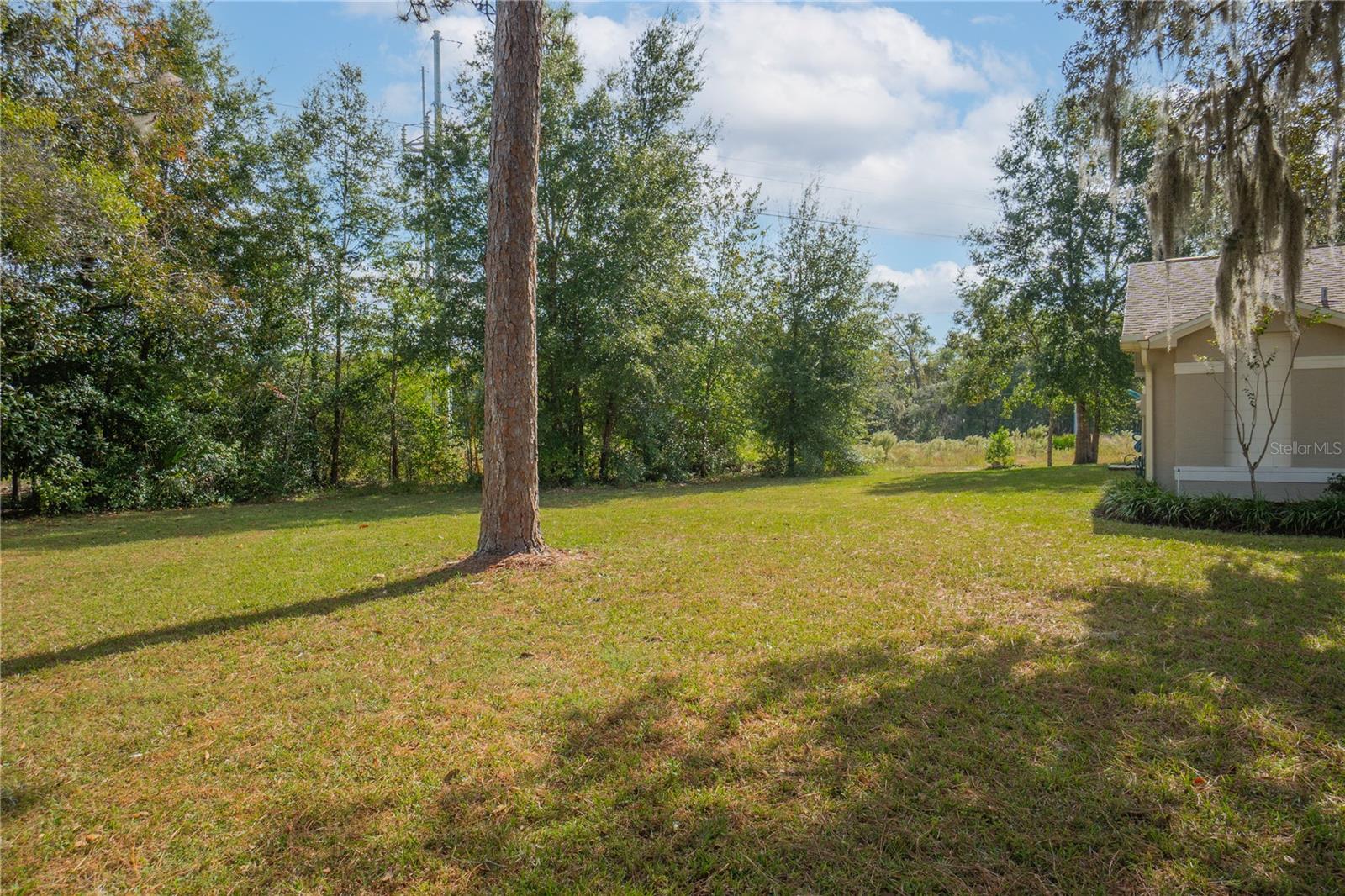 5054 W MAPLELEAF COURT, Lecanto, FL 34461