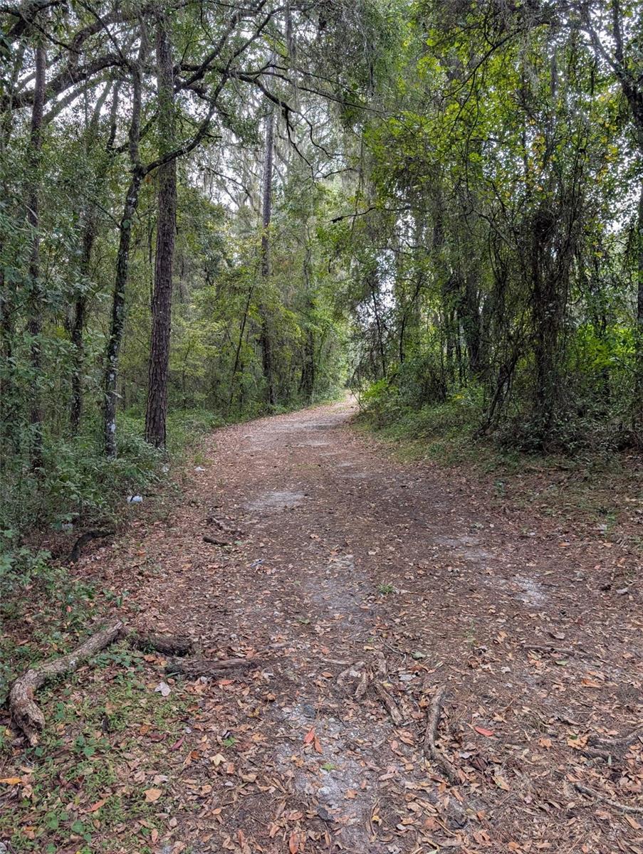0 NW HWY 464B, Morriston, FL 32668