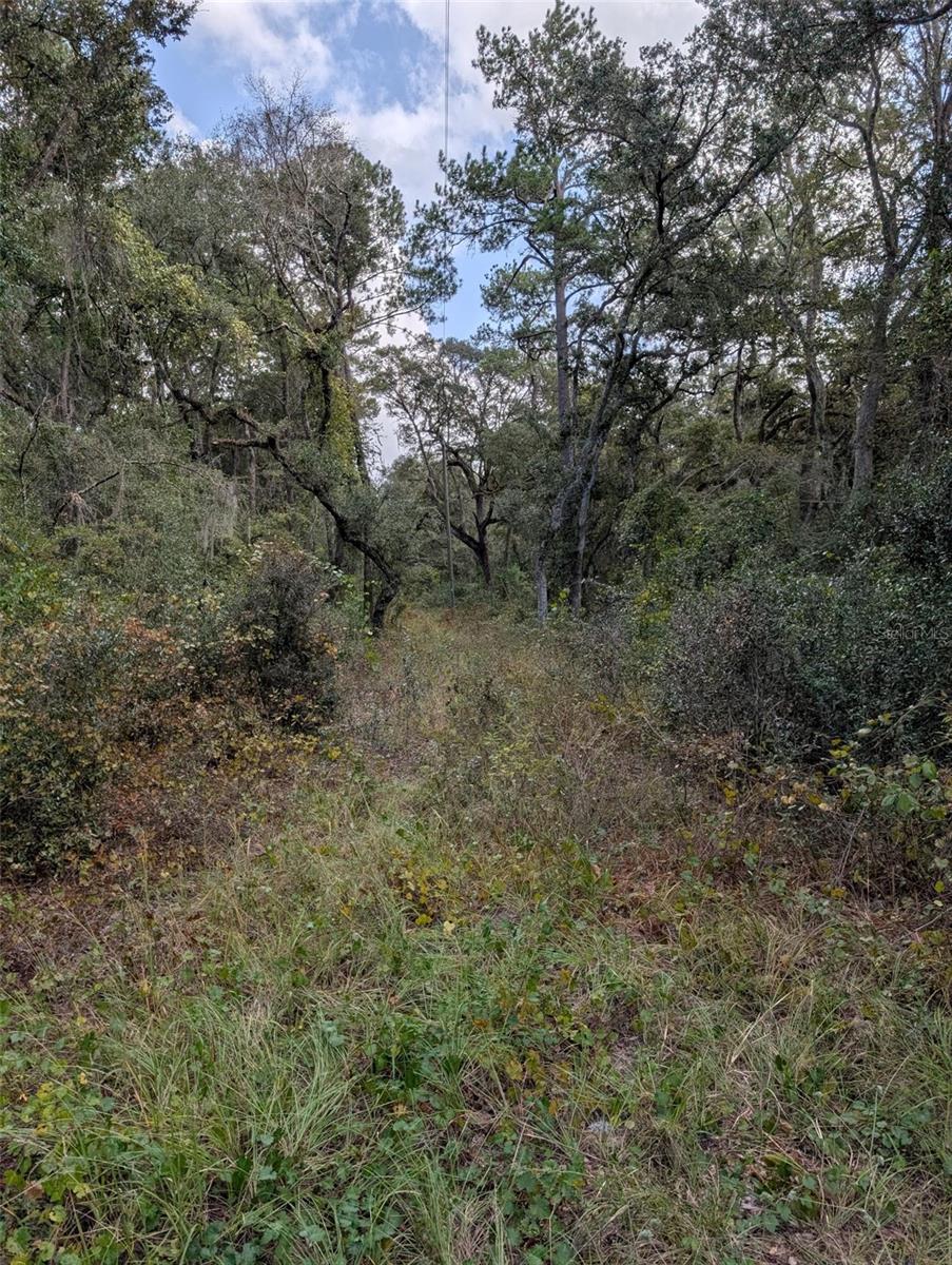 0 NW HWY 464B, Morriston, FL 32668