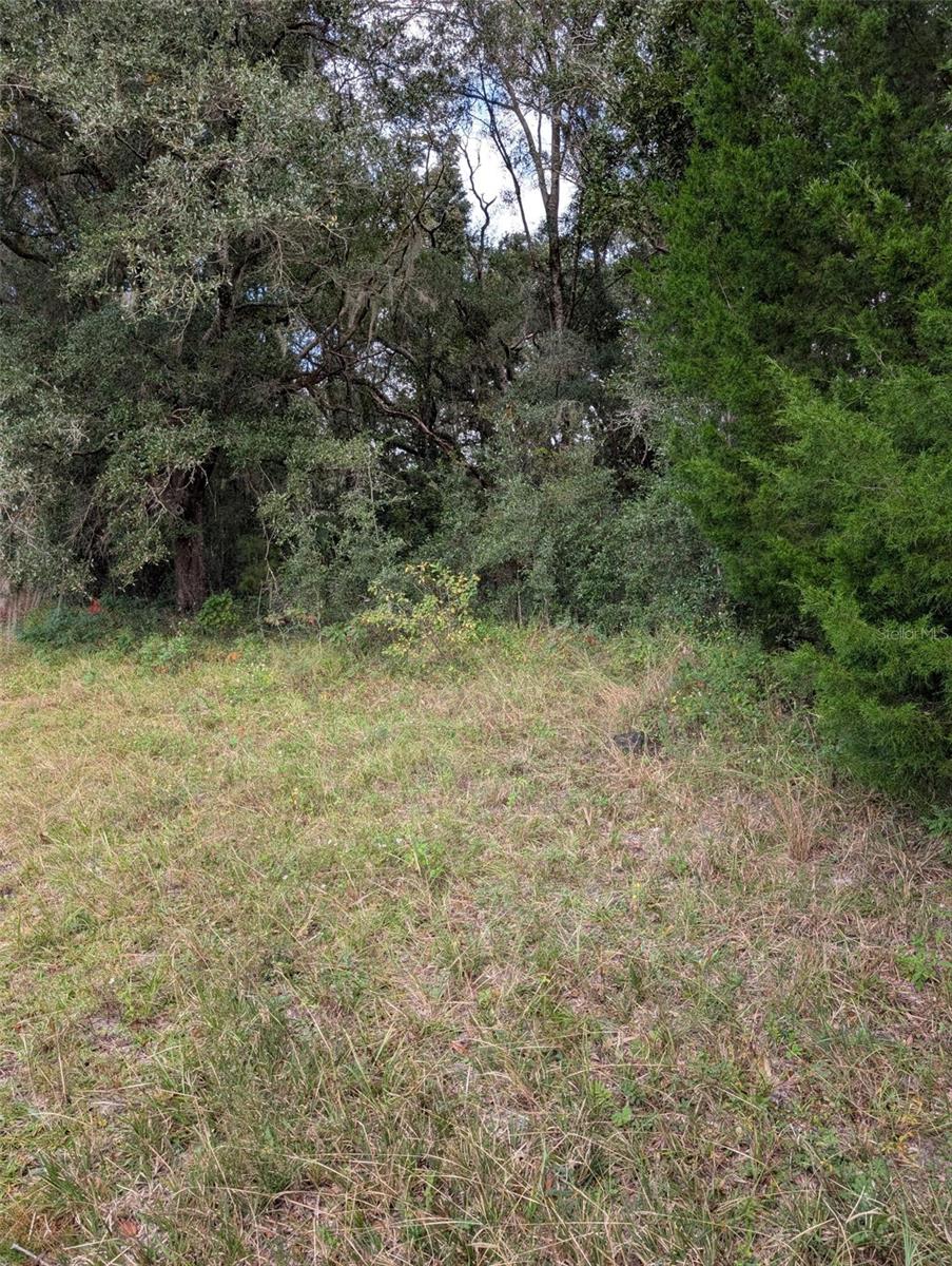 0 NW HWY 464B, Morriston, FL 32668