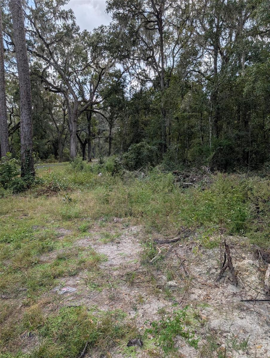 0 NW HWY 464B, Morriston, FL 32668