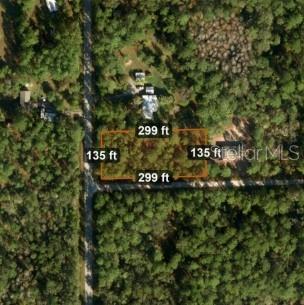 1589 AVOCADO BOULEVARD, Bunnell, FL 32110