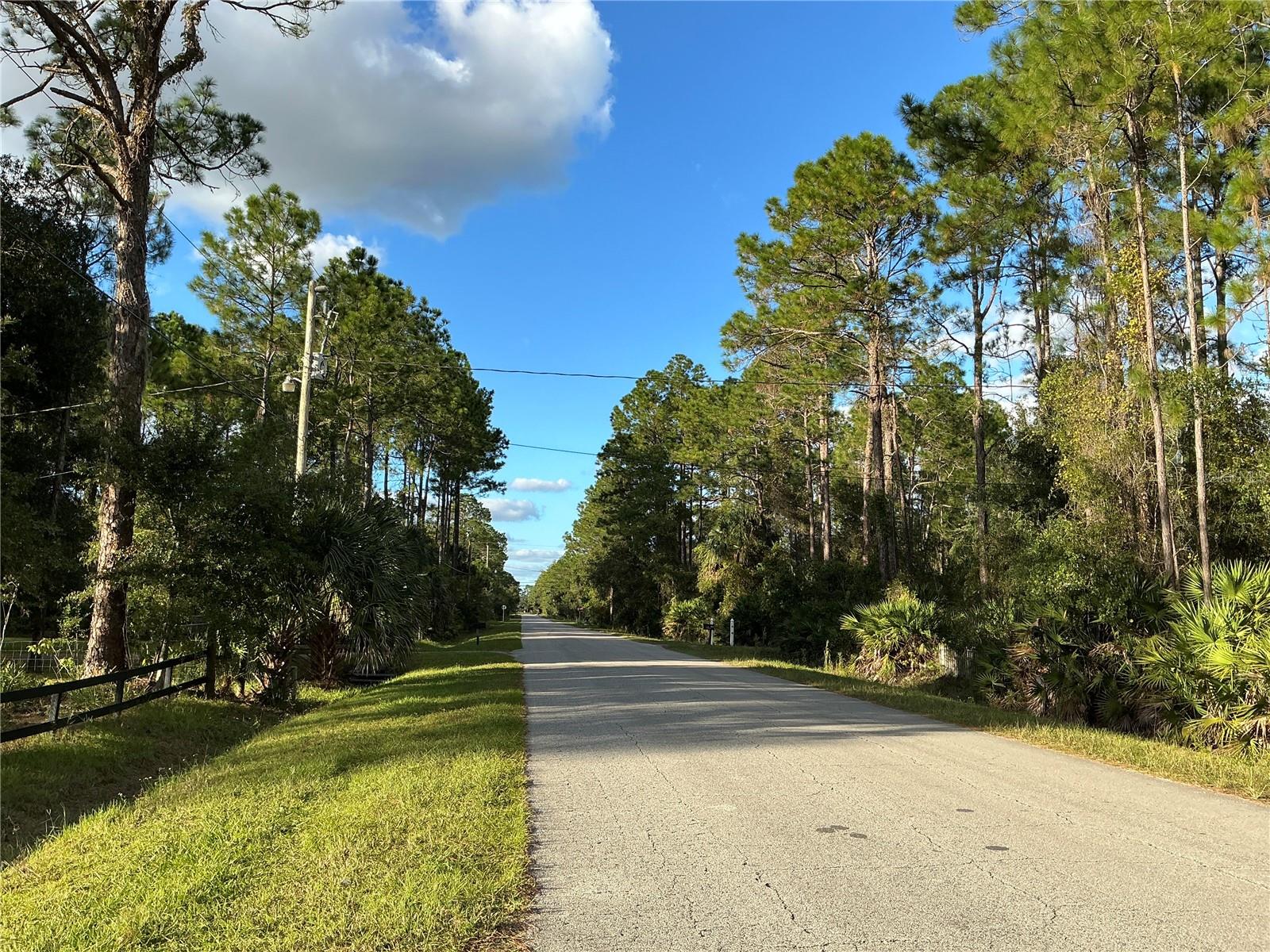 1589 AVOCADO BOULEVARD, Bunnell, FL 32110