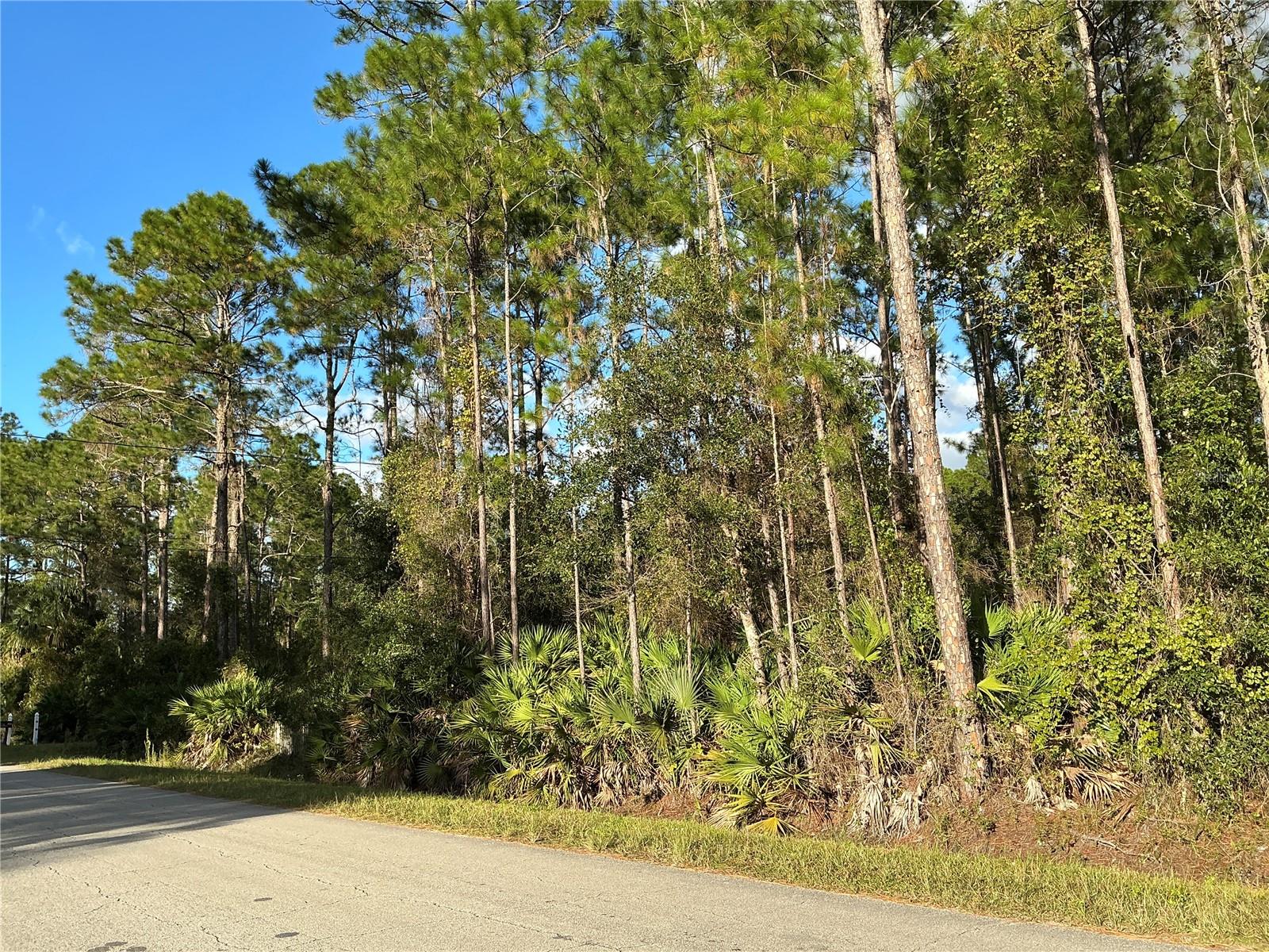 1589 AVOCADO BOULEVARD, Bunnell, FL 32110